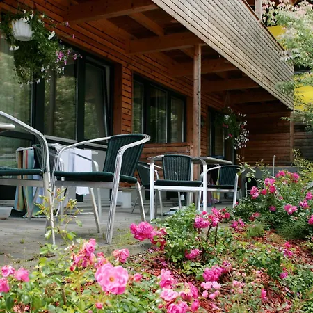 Wildbachhof 18 By Interhome Apartment Zell am See